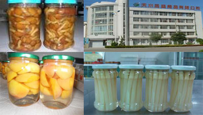 天水旋蓋機(jī)